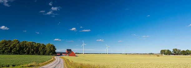 istockphoto-545358896-612x612